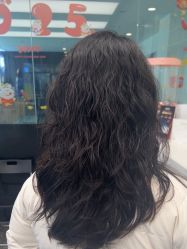 -YESIDO椰岛造型