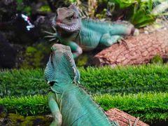 -上海海洋水族馆