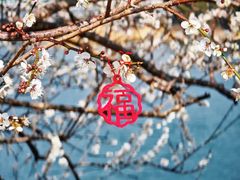 -广州市流溪河国家森林公园