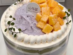 -山与蓝·轻糖鲜果蛋糕(勒泰店)