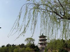 -莱西月湖公园