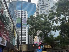 -华嫂冰室(尖沙咀店)