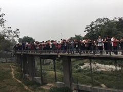 -石家庄市动物园