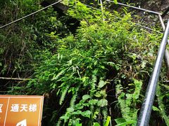 -广东大峡谷