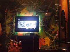 -米乐星世界KTV