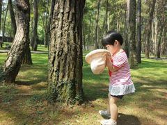 -Club Med地中海俱乐部·桂林度假村