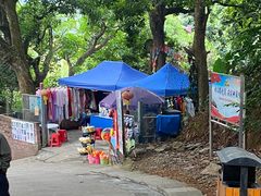 -清溪大王山森林公园
