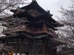 -西安青龙寺遗址景区