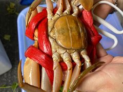 -三辣馆