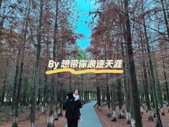 -艾溪湖湿地公园