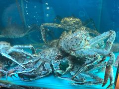 -金悦轩海鲜酒家(银河店)