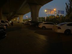 -中环花鸟鱼虫市场