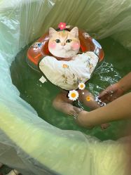 -马博士婴儿游泳馆(望京旗舰店)