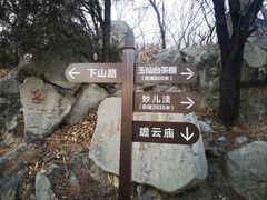 -阳台山自然风景区