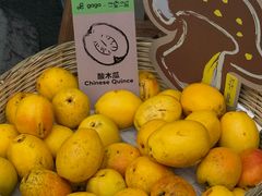 -gaga(深圳福田星河COCO Park店)