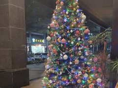-铂尔登国际酒店(南山深圳湾口岸店)