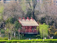 -青枫公园