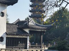 -红梅公园