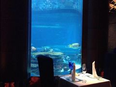 -迪拜帆船酒店海底餐厅