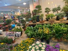 -双季花艺园艺市场(浦东店)