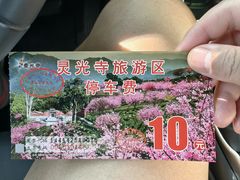 -灵光寺