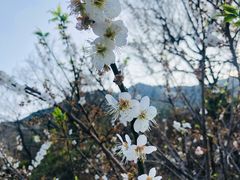 -广州市流溪河国家森林公园