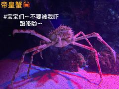 -正佳极地海洋世界