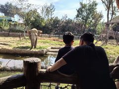 -郑州银基国际旅游度假区