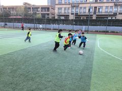 -小赛虎少儿足球培训(南翔校区)