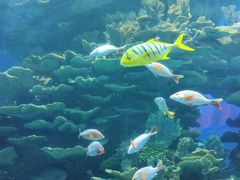 -泉城欧乐堡海洋极地世界