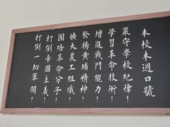 -长洲岛