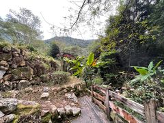 -雁南飞茶田景区