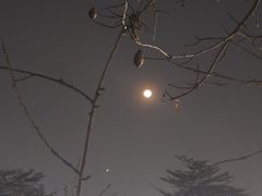 -新合益乡村农庄