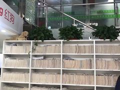 -爱侣宠医·鹦鹉专科·小型哺乳类·异宠专科(灵石路店)