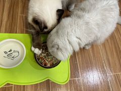 -朴鲸家正宗韩国料理(福田店)