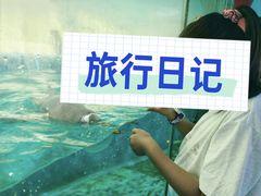 -泉城欧乐堡海洋极地世界