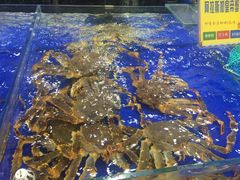 -东江海鲜酒家(艺都分店)
