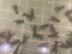 -虾胡闹龙虾馆(湄南河店)