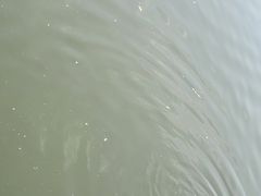 -前关湿地公园