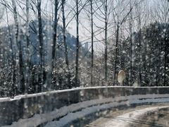 -九皇山景区