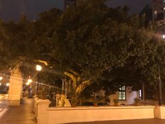 -香港大学