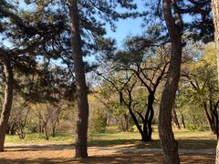 -国家植物园南园