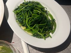 -南堂馆·新川菜(春熙路店)