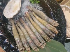 -牛New寿喜烧(金鹰世界店)
