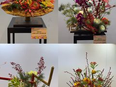 -云溪植物园