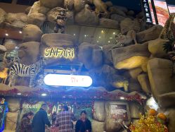 -卡通尼·Safari非洲探索乐园·生日会(金桥国际商业广场店)