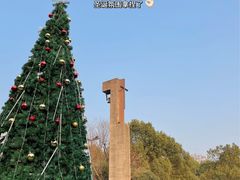 -美丽洲堂