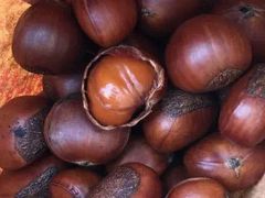 -秋栗香(地安门店)