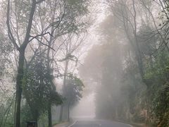 -岳麓山风景名胜区