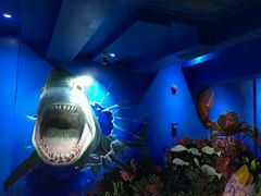 -船奇蒸汽海鲜·闽菜(八市海鲜总店)